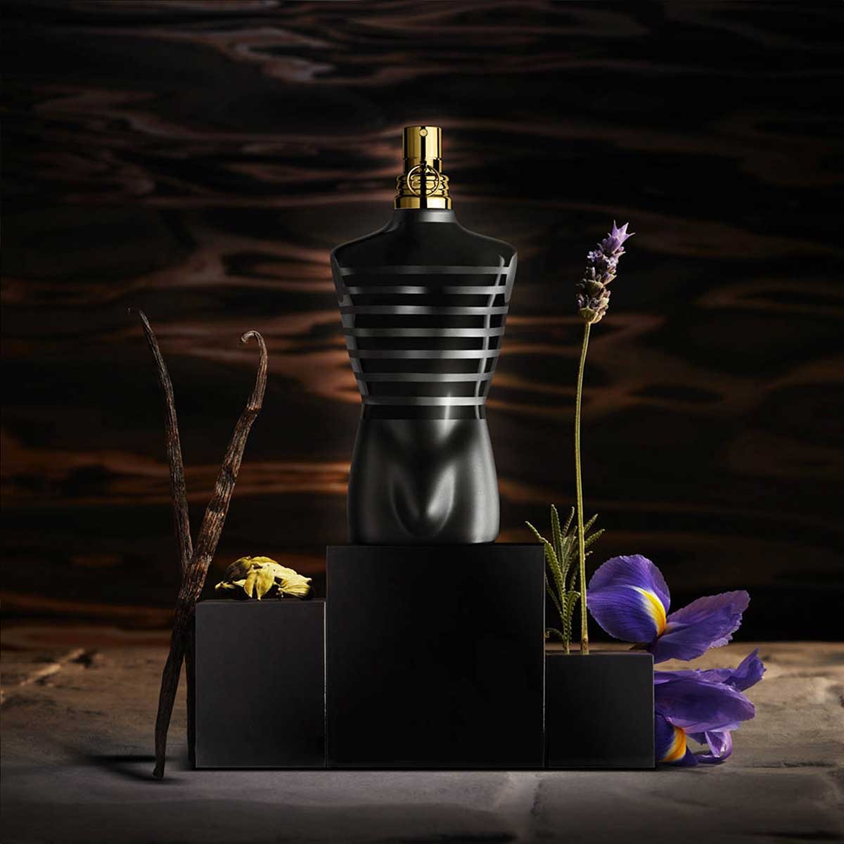 Le Male Le Parfum Edp Men