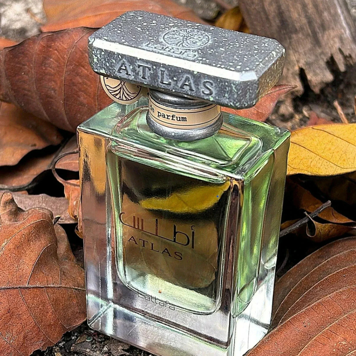 Atlas Edp Men