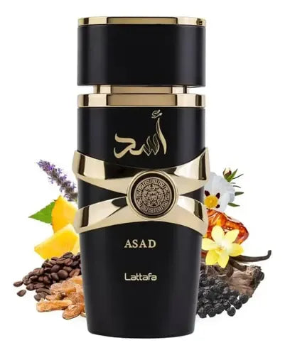 Asad negro Men