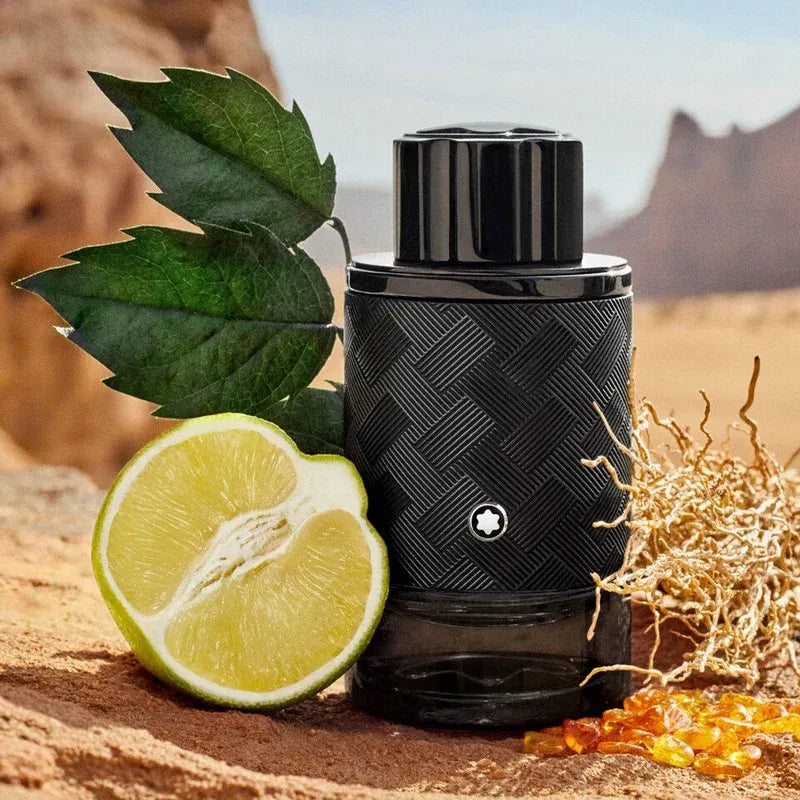 Explorer  Edp Men