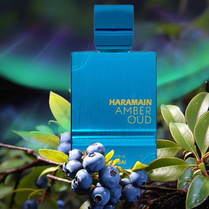 Amber Oud Aqua Dubai Extrait De Parfum Unisex
