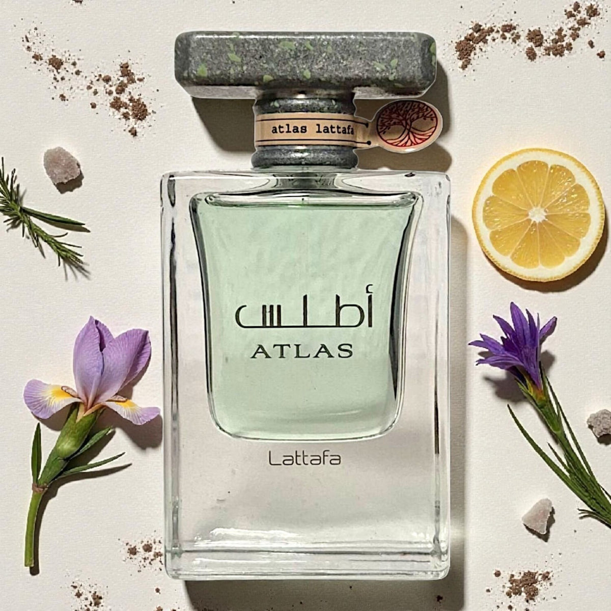 Atlas  Edp Men